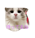 リリィと一緒（個別スタンプ：1）