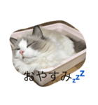 リリィと一緒（個別スタンプ：5）