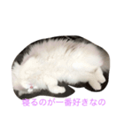 リリィと一緒（個別スタンプ：8）