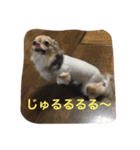 ワンコの気持ち！（個別スタンプ：6）
