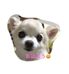 セロリ＆（個別スタンプ：3）