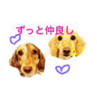 ミニチュアダックスのマーシーとビー（個別スタンプ：8）