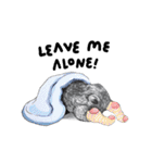 Bonsoir！ Black French Bulldog（個別スタンプ：5）