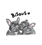 Bonsoir！ Black French Bulldog（個別スタンプ：7）