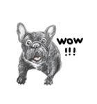 Bonsoir！ Black French Bulldog（個別スタンプ：8）
