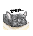 Bonsoir！ Black French Bulldog（個別スタンプ：10）