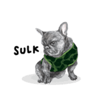 Bonsoir！ Black French Bulldog（個別スタンプ：12）