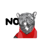 Bonsoir！ Black French Bulldog（個別スタンプ：14）