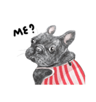 Bonsoir！ Black French Bulldog（個別スタンプ：17）