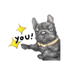 Bonsoir！ Black French Bulldog（個別スタンプ：18）