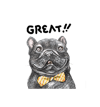 Bonsoir！ Black French Bulldog（個別スタンプ：19）
