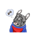 Bonsoir！ Black French Bulldog（個別スタンプ：20）