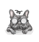 Bonsoir！ Black French Bulldog（個別スタンプ：21）