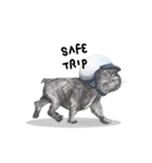 Bonsoir！ Black French Bulldog（個別スタンプ：22）