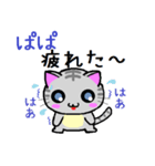 ぱぱねこ（個別スタンプ：24）