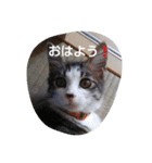 ちぃちゃんの毎日会話（個別スタンプ：7）