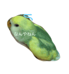 チェリーさん（個別スタンプ：2）