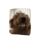 愛犬ラブリのスタンプ（個別スタンプ：3）