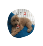 愛犬ラブリのスタンプ（個別スタンプ：7）