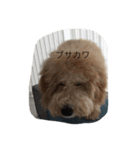 愛犬ラブリのスタンプ（個別スタンプ：14）