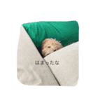 愛犬ラブリのスタンプ（個別スタンプ：15）
