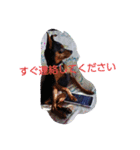 PsuK（個別スタンプ：6）