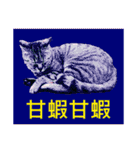 Colorful cat images(Taiwanese version)（個別スタンプ：2）