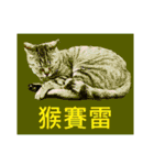 Colorful cat images(Taiwanese version)（個別スタンプ：5）