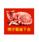 Colorful cat images(Taiwanese version)（個別スタンプ：6）