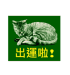 Colorful cat images(Taiwanese version)（個別スタンプ：8）