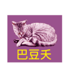 Colorful cat images(Taiwanese version)（個別スタンプ：9）