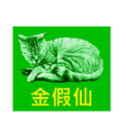 Colorful cat images(Taiwanese version)（個別スタンプ：10）
