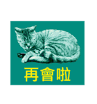 Colorful cat images(Taiwanese version)（個別スタンプ：15）