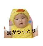 悠人0歳スタンプ3（個別スタンプ：14）