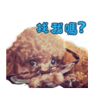 Poodle Sister yime（個別スタンプ：14）
