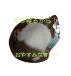 KEIくん(うさぎです）（個別スタンプ：2）
