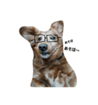 我が家の犬達と猫達（個別スタンプ：6）