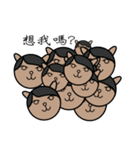 GlassesBallMan and CatBall（個別スタンプ：10）