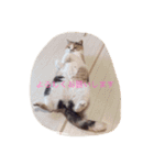 めるぴの（個別スタンプ：16）