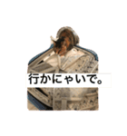 つぶとろさん（個別スタンプ：12）