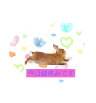 うさぎの美美ちゃん（個別スタンプ：7）