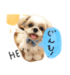mochikomechan（個別スタンプ：3）