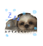 mochikomechan（個別スタンプ：4）