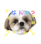 mochikomechan（個別スタンプ：6）