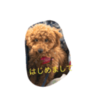 毎日わんころりん（個別スタンプ：8）