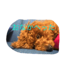 毎日わんころりん（個別スタンプ：18）
