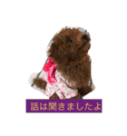 毎日わんころりん（個別スタンプ：22）