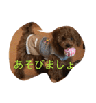 毎日わんころりん（個別スタンプ：29）