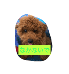 毎日わんころりん（個別スタンプ：31）