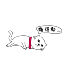 Lazy and emotional white cat（個別スタンプ：1）